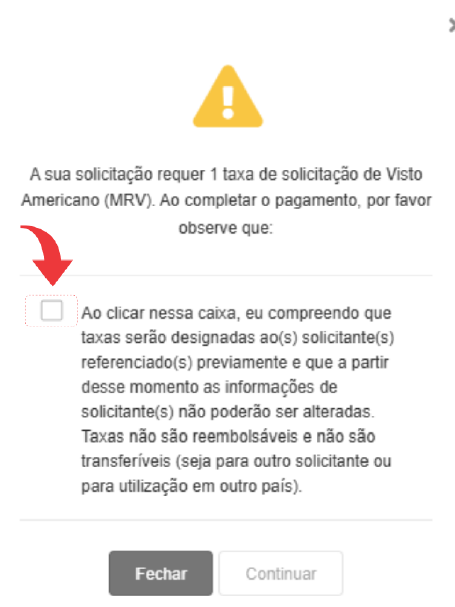 Imagem Agendamento visto americano 14